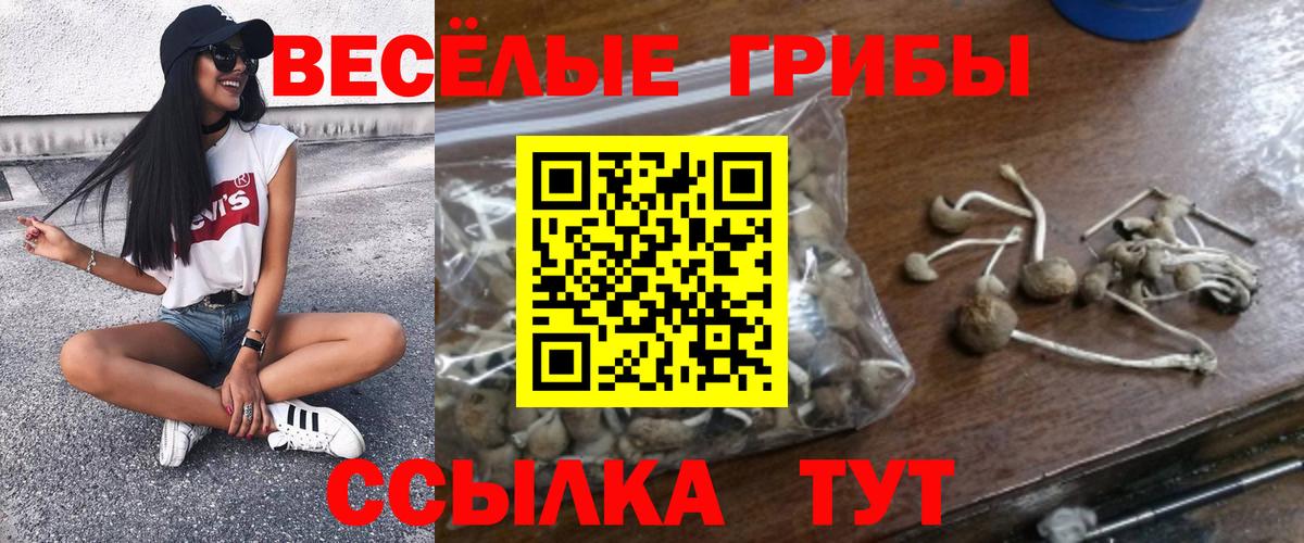 Псилоцибиновые грибы ЛСД  хочу наркоту  Вход с VPN  Верхняя Пышма  Галлюциногенные грибы мицелий 